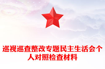 巡視巡查整改專題民主生活會個人對照檢查材料下載