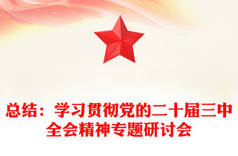 總結范文：學習貫徹黨的二十屆三中全會精神專題研討會