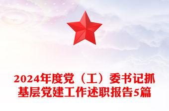 2024年度黨（工）委書記抓基層黨建工作述職報告范文5篇