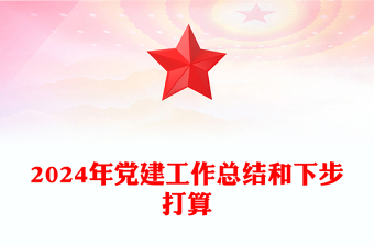 2024年黨建工作總結(jié)范文和下步打算