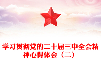 學(xué)習(xí)貫徹黨的二十屆三中全會(huì)精神心得體會(huì)（二）范文