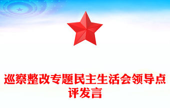 巡察整改專題民主生活會領導點評發言范文