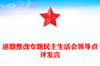 巡察整改專題民主生活會(huì)領(lǐng)導(dǎo)點(diǎn)評(píng)發(fā)言范文