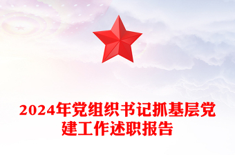 2024年黨組織書記抓基層黨建工作述職報(bào)告范文