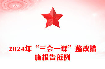 2024年“三會一課”整改措施報告精選范例