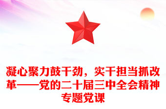 凝心聚力鼓干勁，實干擔當抓改革——黨的二十屆三中全會精神專題黨課范文