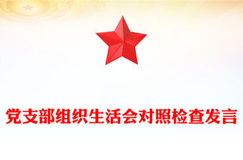 黨支部組織生活會對照檢查發言范文