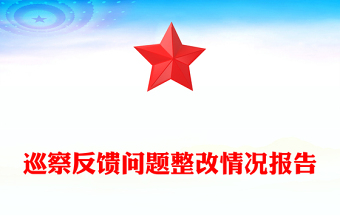 巡察反饋問(wèn)題整改情況報(bào)告范文