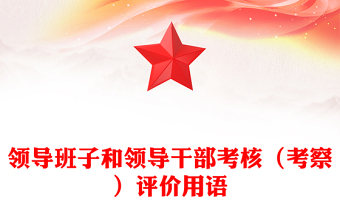 領(lǐng)導(dǎo)班子和領(lǐng)導(dǎo)干部考核（考察）評(píng)價(jià)用語范文