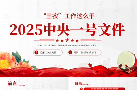 2023一號(hào)文件精神解讀黨課ppt模板