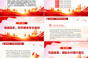 2025中央一號(hào)文件解讀PPT深化農(nóng)村改革扎實(shí)推進(jìn)鄉(xiāng)村全面振興課件