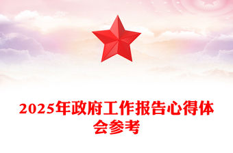 2025年政府工作報告心得體會參考