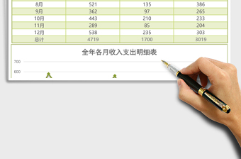 全年財(cái)務(wù)收入支出明細(xì)總覽表excel模板