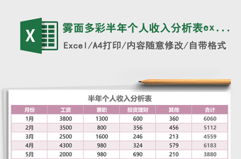 霧面多彩半年個人收入分析表excel模板