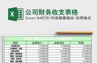 公司財(cái)務(wù)收支表格