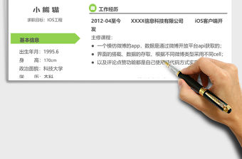 時尚IOS工程師Excel簡歷表格模板