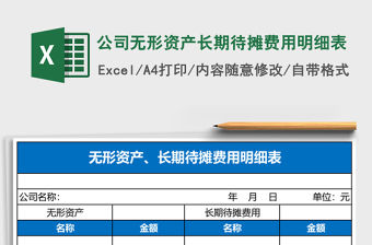 公司無形資產長期待攤費用明細表
