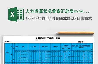 人力資源狀況普查匯總表excel表格模板