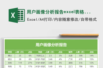 用戶畫像分析報告excel表格模板