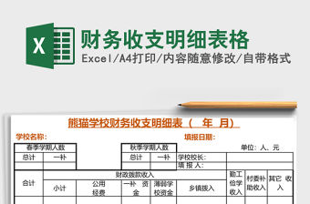 財務收支明細表格