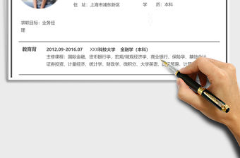 現代簡約業務經理excel簡歷表格模板