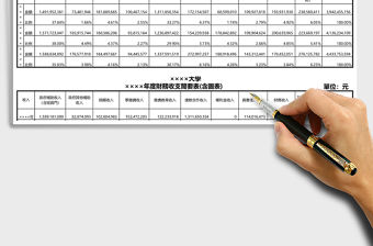 大學年度財務收支簡要表Excel表格