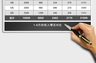 黑色半年個人收入分析表excel模板