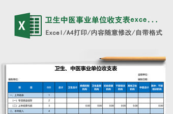 衛(wèi)生中醫(yī)事業(yè)單位收支表excel表格