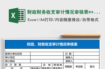 財政財務收支審計情況審核表excel模板
