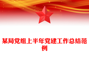 某局黨組上半年黨建工作總結(jié)PPT模板下載(講稿)