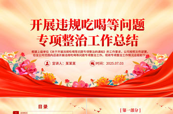 開展違規吃喝等問題專項整治工作總結PPT模板
