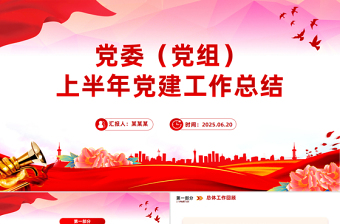 黨委（黨組）上半年黨建工作總結(jié)PPT黨建模板