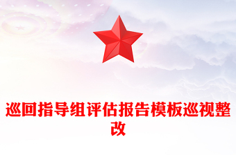 巡回指導組評估報告模板巡視整改