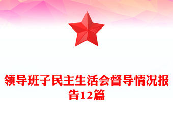 領(lǐng)導(dǎo)班子民主生活會督導(dǎo)情況報告12篇