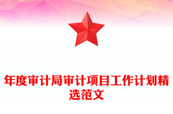 年度審計局審計項目工作計劃精選范文