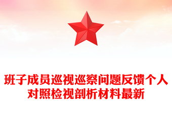 班子成員巡視巡察問題反饋個(gè)人對(duì)照檢視剖析材料最新