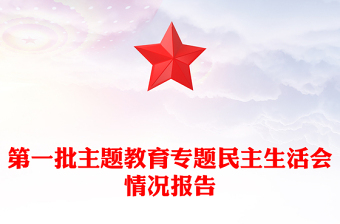 第一批主題教育專題民主生活會(huì)情況報(bào)告