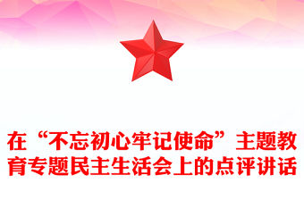在“不忘初心牢記使命”主題教育專題民主生活會上的點評講話