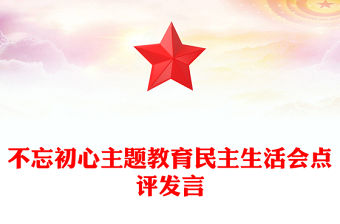 不忘初心主題教育民主生活會點評發言