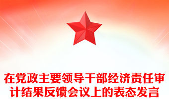 在黨政主要領導干部經濟責任審計結果反饋會議上的表態發言