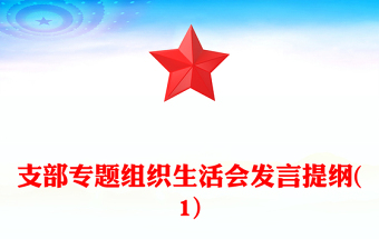 支部專題組織生活會發(fā)言提綱(1)