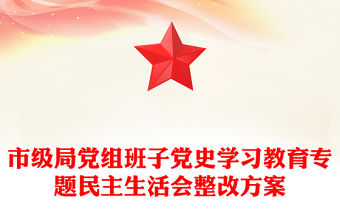 市級局黨組班子黨史學習教育專題民主生活會整改方案