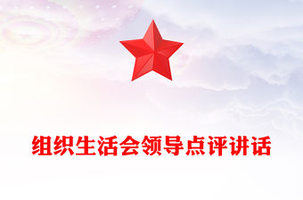 組織生活會領導點評講話