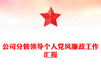 公司分管領(lǐng)導(dǎo)個(gè)人黨風(fēng)廉政工作匯報(bào)