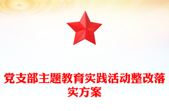 黨支部主題教育實(shí)踐活動(dòng)整改落實(shí)方案