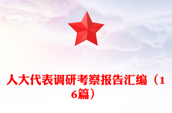 人大代表調(diào)研考察報(bào)告匯編（16篇）