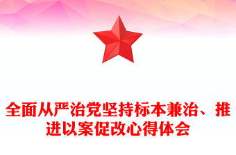 全面從嚴治黨堅持標本兼治、推進以案促改心得體會