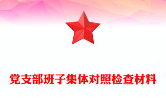 黨支部班子集體對照檢查材料