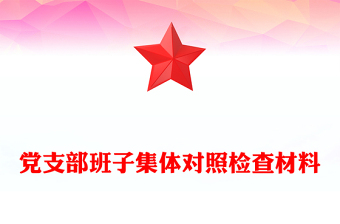 黨支部班子集體對(duì)照檢查材料