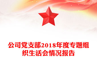 公司黨支部2018年度專題組織生活會情況報告